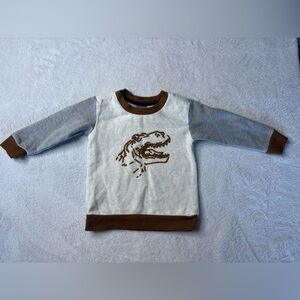 Tahari Kids Dinosaur Sweatshirt - Gray and Brown
